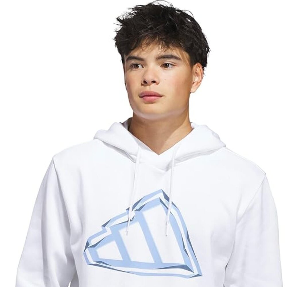adidas Men's Big Logo Graphic Hoodie